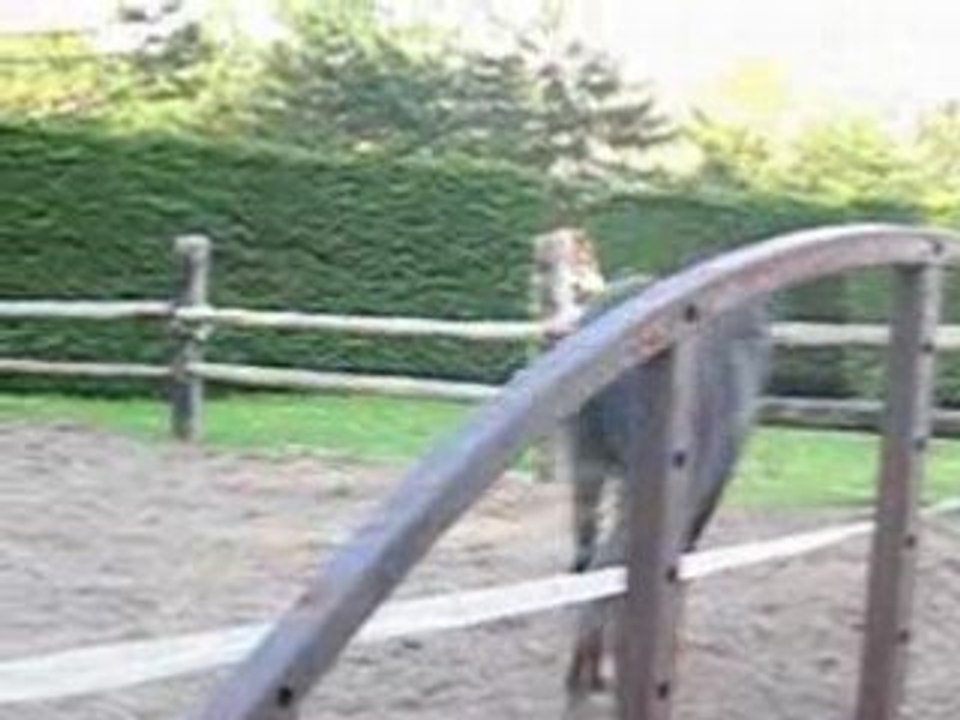 ruedo qui se défoule