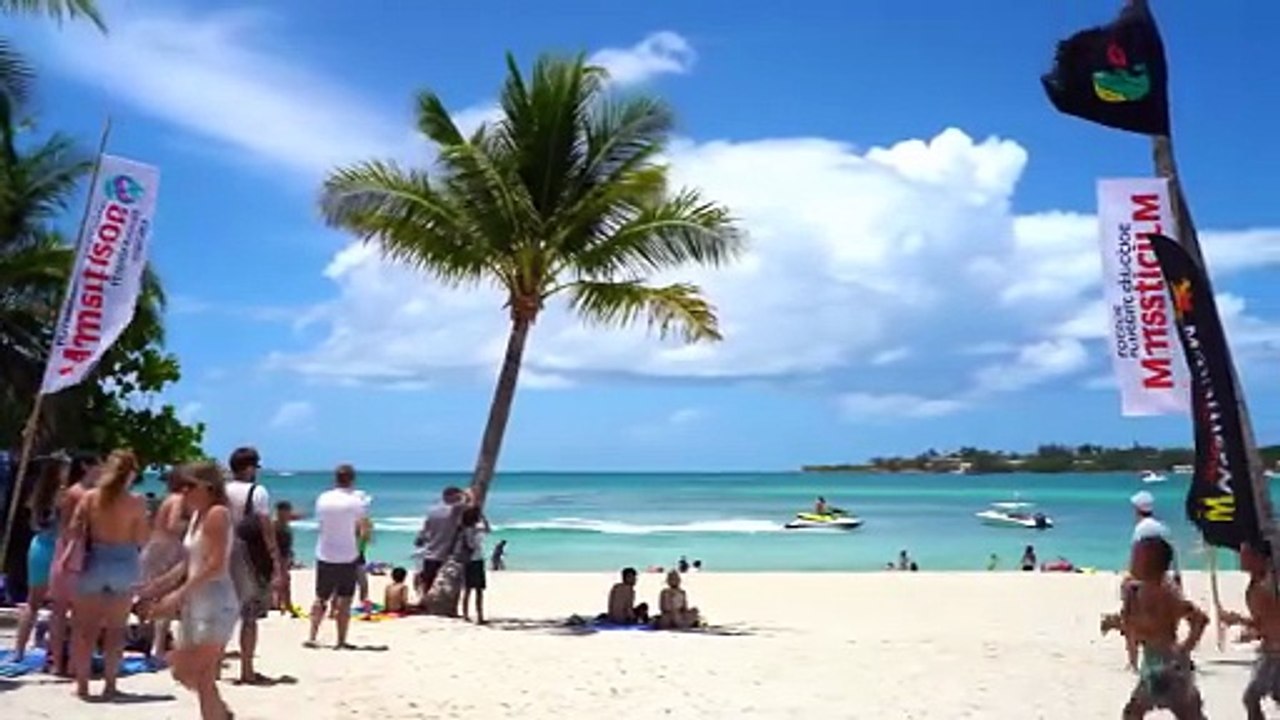 Vidéo_Prête_Plage_Cocotiers_Martinique