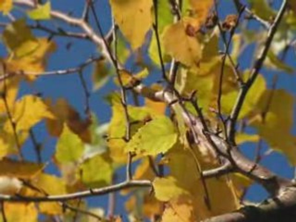 Balade d'automne