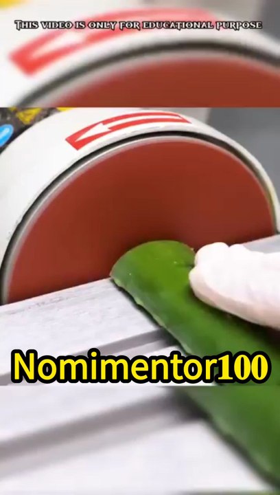 aelovera daily routine hacks