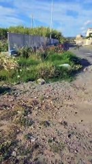 Ripepi - LUNGO MARE DI GALLICO DEVASTATO. FORZA REGGINA. (30.05.25)