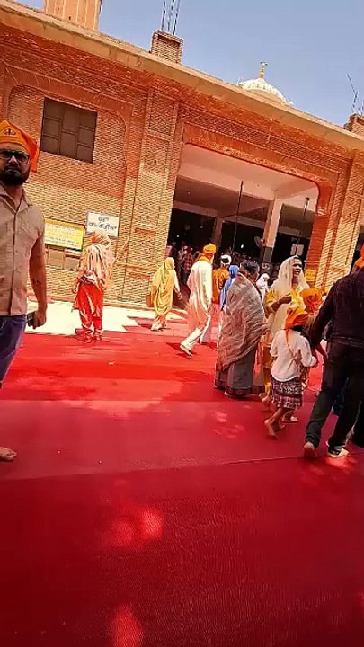 Golden Temple Langar Experience 🍛 | Volunteering & Eating at the World’s Largest Free Kitchen
