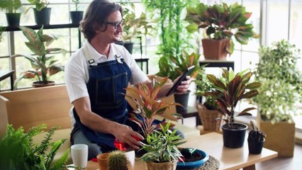 “Arena Empreenda Mais” Conheça o evento que acontecerá na segunda-feira na Casa Leone
