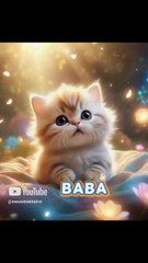 So Adorably Kitten is Calling her Dad💞☎️ what she is saying_