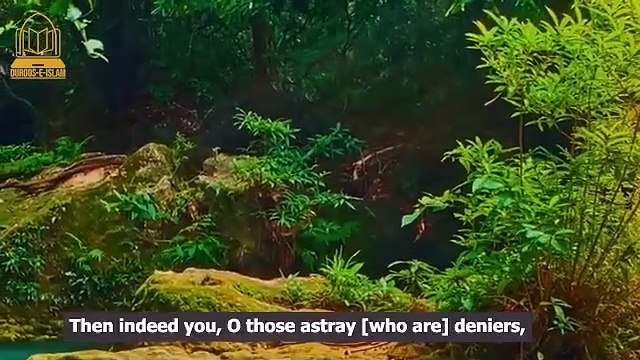 Surah Waqia surah waqiah ki tilawat surah waqiah ki fazilat surah waqiah ki fazilat سورة الواقعة