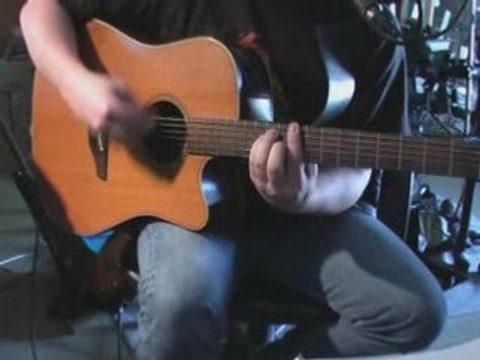 HF THIEFAINE - Les jardins sauvages