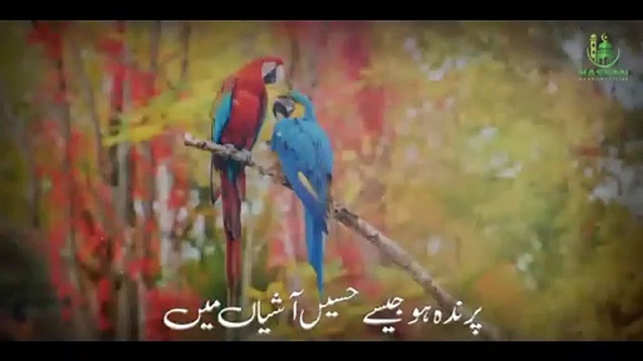 New Emotional Kalam 2022__Meri Pyari Maa__Hafiz Hassan Anzar