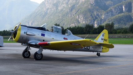 Aeronautica militare Festivolare T 6 Texan diamond 3 G 46 + solo air show