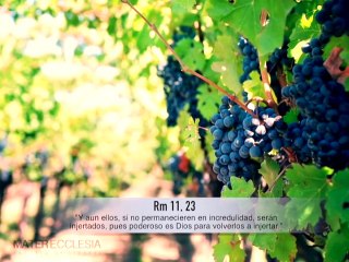 ME - Vida Espiritual 10_1