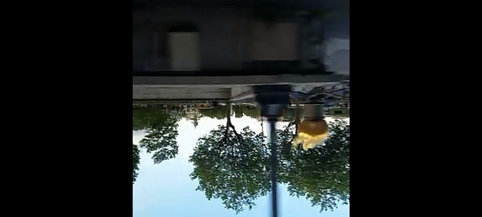 Paris The Magic of the French Capital  #france #paris #paristour #pariscity #travel #traveling (5)