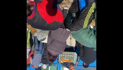 Se les quedó un camión cargado con mandarinas y decidieron regalarla