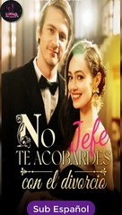 [SUB ESPAÑOL] Jefe, no te acobardes con el divorcio serie completa