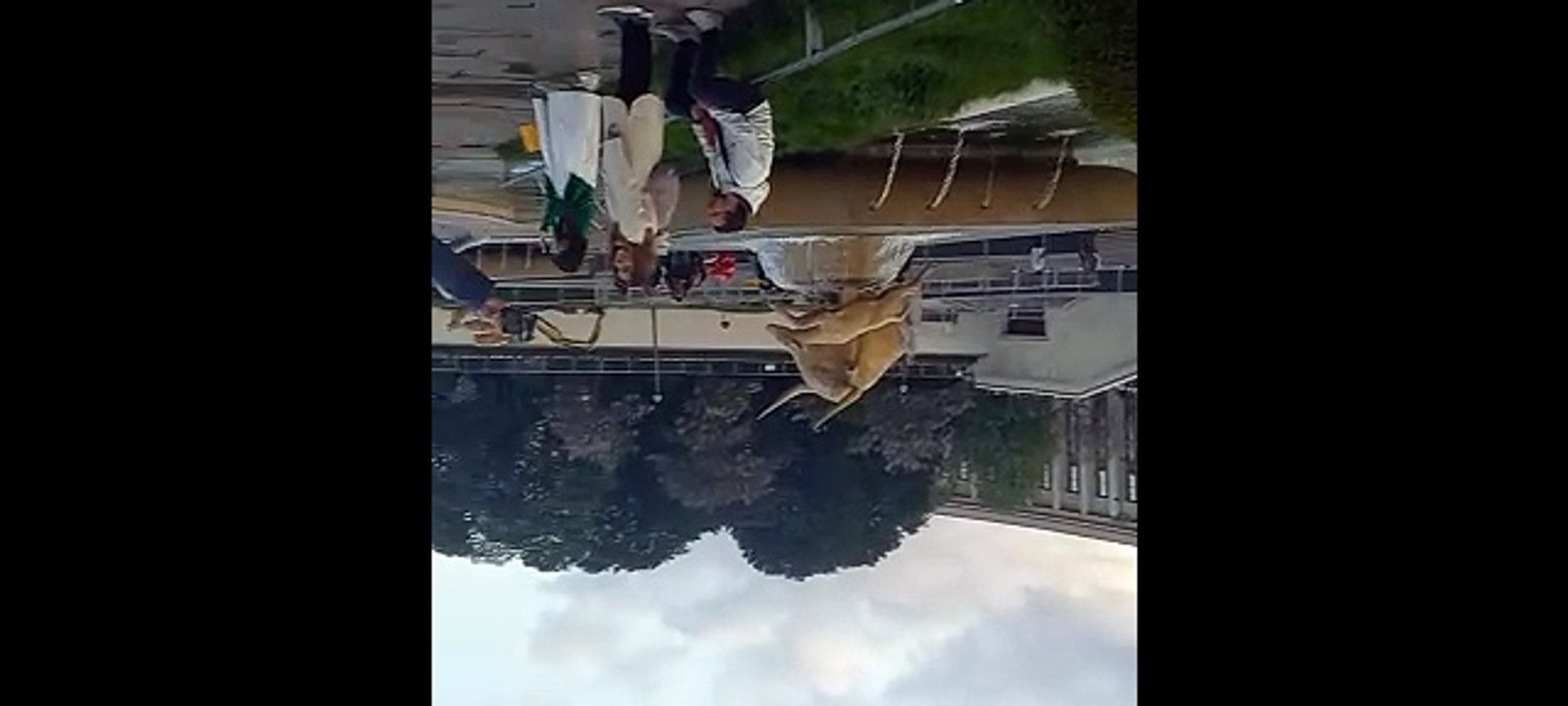 Paris The Magic of the French Capital  #france #paris #paristour #pariscity #travel #traveling (8)