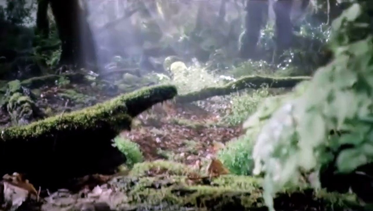 Volkswagen - The  21st century Beetle TurboCharged - Advert (2011)