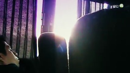 En conmemoración por 15 años del matrimonio igualitario en México, se publica documental “Cónyuges”