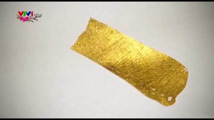 IDENT VTV1 TẾT ĐINH DẬU 2017 (2)