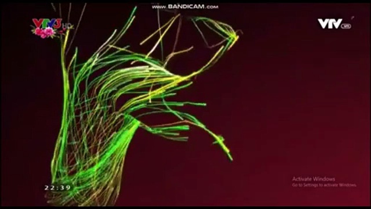 IDENT VTV3 TẾT ĐINH DẬU 2017 (1)