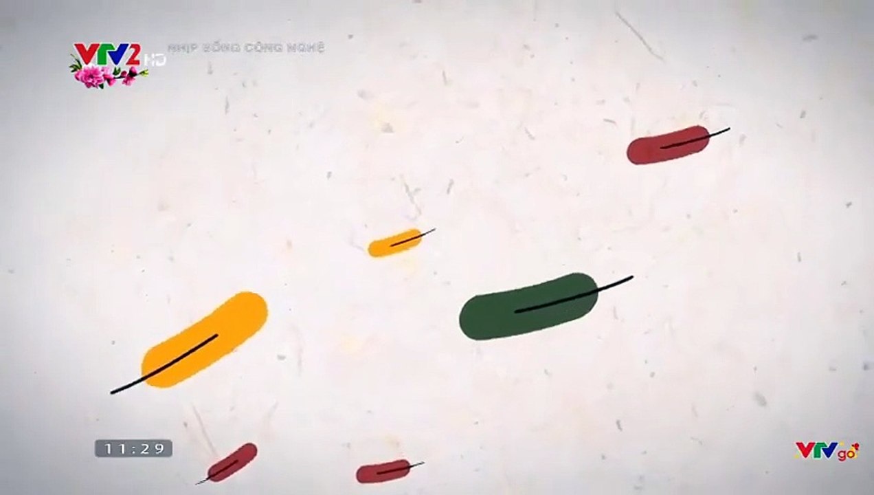 IDENT VTV2 TẾT ĐINH DẬU 2017 (1)