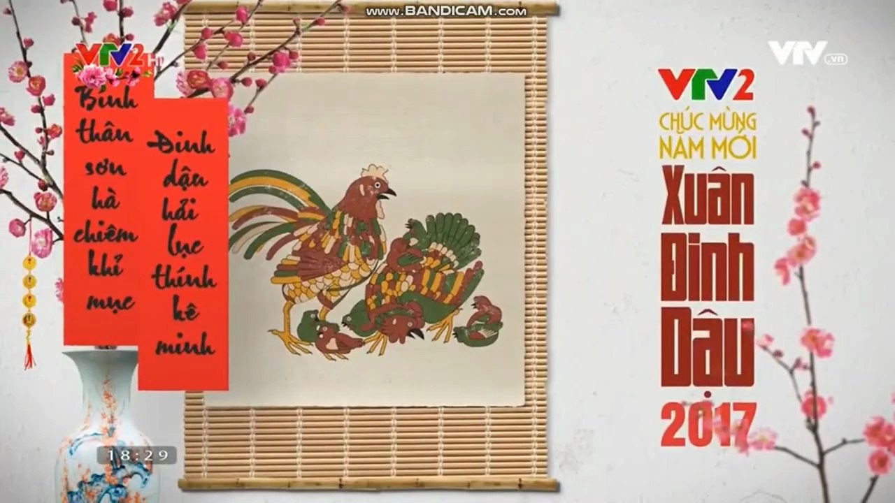 IDENT VTV2 TẾT ĐINH DẬU 2017 (3)