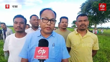 সমীৰৰ পৰশত চঞ্চলা হৈ নাচি উঠিছে সেউজীয়া দলিচা, প্ৰকৃতিৰ মৰম বুটলিবলৈ ঢল বৈছে শ শ লোকৰ