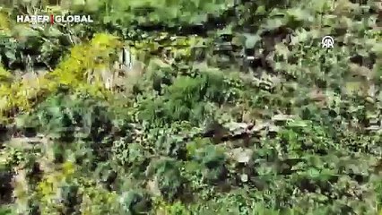 Dicle Nehri'ndeki adacıklarda ele geçirildi: Tam 1220 tane!