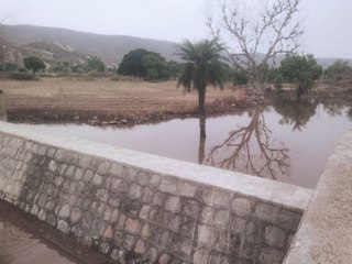 सूखे पड़े दर्जनों एनिकट व जोहड़ों में पानी की आवक