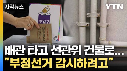 [자막뉴스] 성조기 두른 40대 여성... 사전투표 참관했다가 '체포' / YTN
