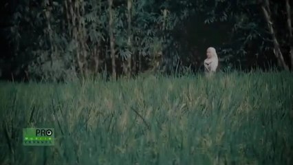 Jam Allah Allah Aghisna الله الله أغثنا - Nazwa Maulidia (Official Music Video)