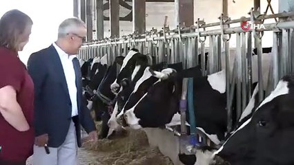 Bursa\'da süt üretiminde fazlalık: Başkandan açıklama geldi