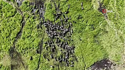 Mandalar doğanın ritmini yakaladı! Bu görüntüler belgeselleri aratmadı