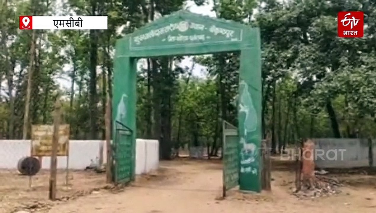 हाथियों का कहर: मोबाइल टावर में मचाई तबाही, जनरेटर उखाड़कर तोड़े केबल, संचार व्यवस्था ठप