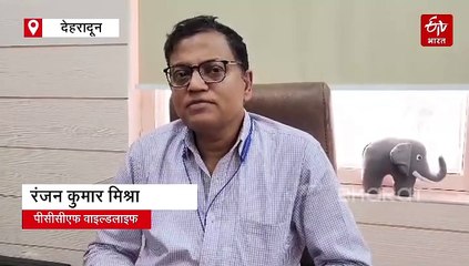 ऋषिकेश रेंज में मिल रही प्रोजेक्ट टाइगर के पांचवें बाघ की लोकेशन, जानिए इस बात से क्यों बढ़ी महकमे की चिंता