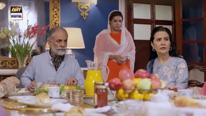 Sher Episode 3 - Danish Taimoor - Sarah Khan - 28 May 2025 [ENG SUB] - ARY Digital Drama