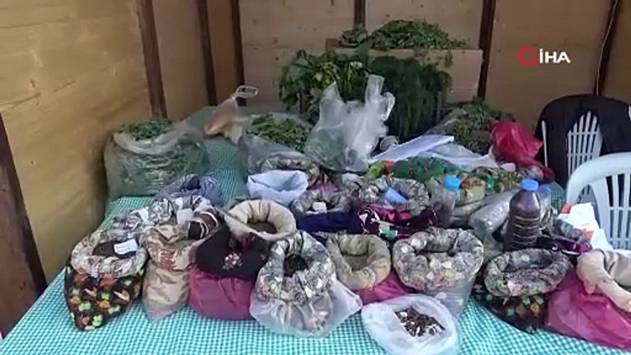 ''Yapılamaz denen yapıldı...'' İşte Türkiye'ye özel şifa kaynağı dondurma...