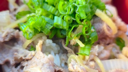 Gyudon | Japanese Beef Bowl: How to Build Flavor Step by Step