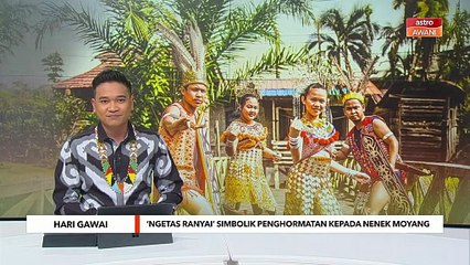 'Ngetas Ranyai' acara tradisi pembukaan Pra Gawai