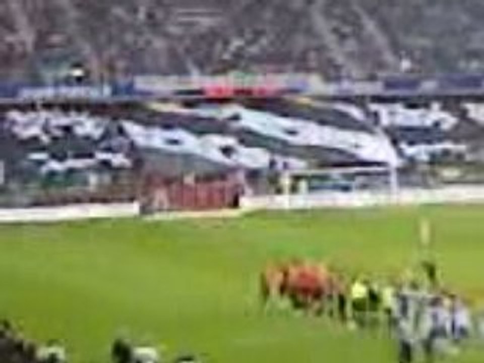 tifo rck