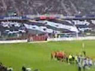 tifo rck