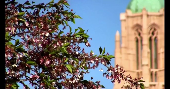 Os Concílios da Igreja Cristã 8º parte - O Concílio de Nicéia II (Nicea II) em 787 D.C Parte 2; #niceia2 #concilio #jesus #igreja #oitavoseculo #teologia