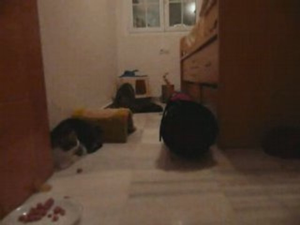 Harry, Yuri y el tunel