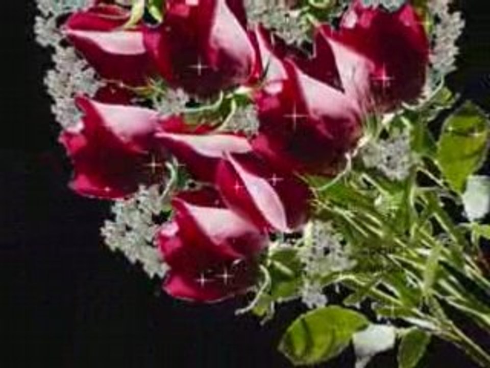 Video de roses