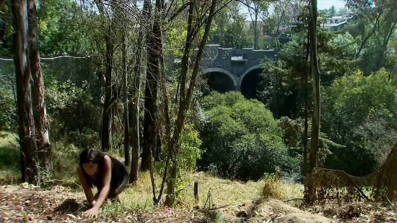 La Gata Capitulo 7