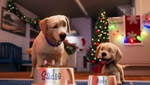 Andy_ A Dog's Tale _ Full Film _ Canine Companions #animation #puppy #servicedog