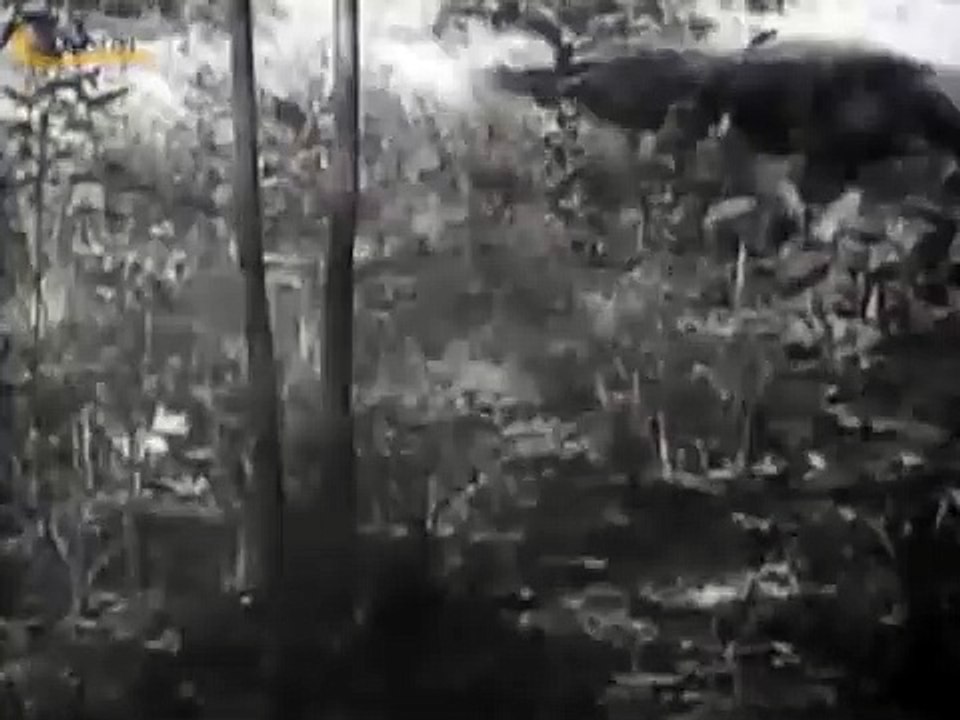 TARZAN DE LAS FIERAS (TARZAN THE FEARLESS, 1933, Full movie, Spanish, Cinetel) HD