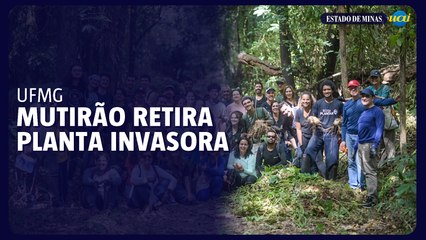 Mutirão retira planta invasora do Museu de História Natural da UFMG