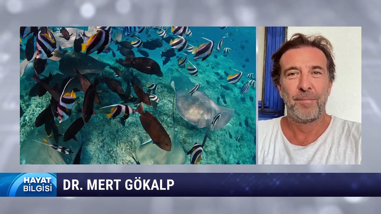 01 ŞUBAT - MERT GÖKALP 1 - HAYAT BİLGİSİ_yayınlandı