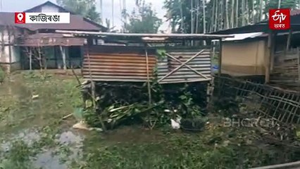 জলমগ্ন কাজিৰঙা ৰাষ্ট্ৰীয় উদ্যান: পশু-পক্ষীৰ বিলৈ আৰম্ভ