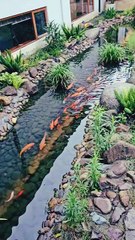 Allah Ka Shukr Ada Karain