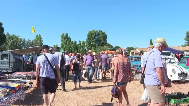 Dans l'Hérault, on célèbre les voitures deux chevaux (2CV)