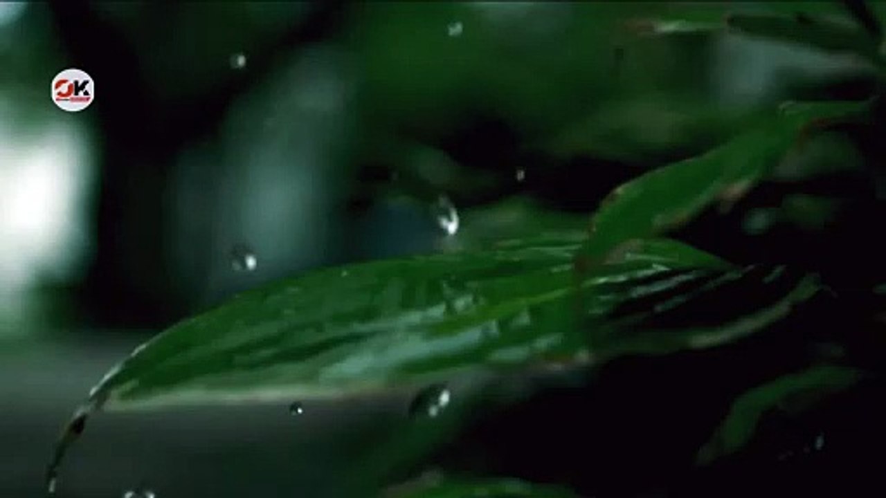 Beauty Of Nature Whatsapp Status -- Relaxing Instrumental Silent Song Status